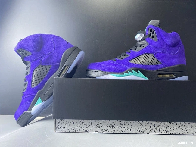 One Kick 136027- Graape Jordan5 Alternate 4020 TimelessDesign 1014